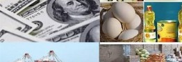 آماده شدن برای حذف ارز دولتی/ احتمال شکل گیری موجی از تورم در کشور