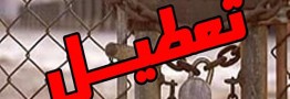 تعطیلی ۶۰ درصدی کارخانجات مرتبط با پتروشیمی
