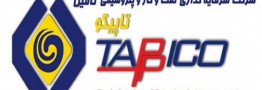 انتصاب مهندس وحید نام نیک به عنوان سرپرست جدید شرکت پتروشیمی غدیر